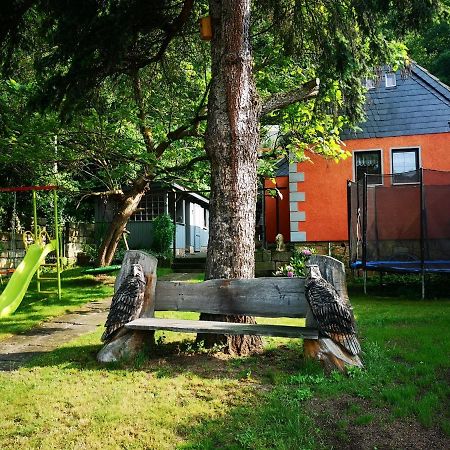Ferienhaus Franz - An Der Elbe, Mit Grossem Garten Пирна Екстериор снимка