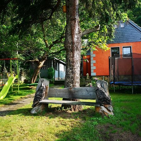 Ferienhaus Franz - An Der Elbe, Mit Grossem Garten Villa Пирна Екстериор снимка