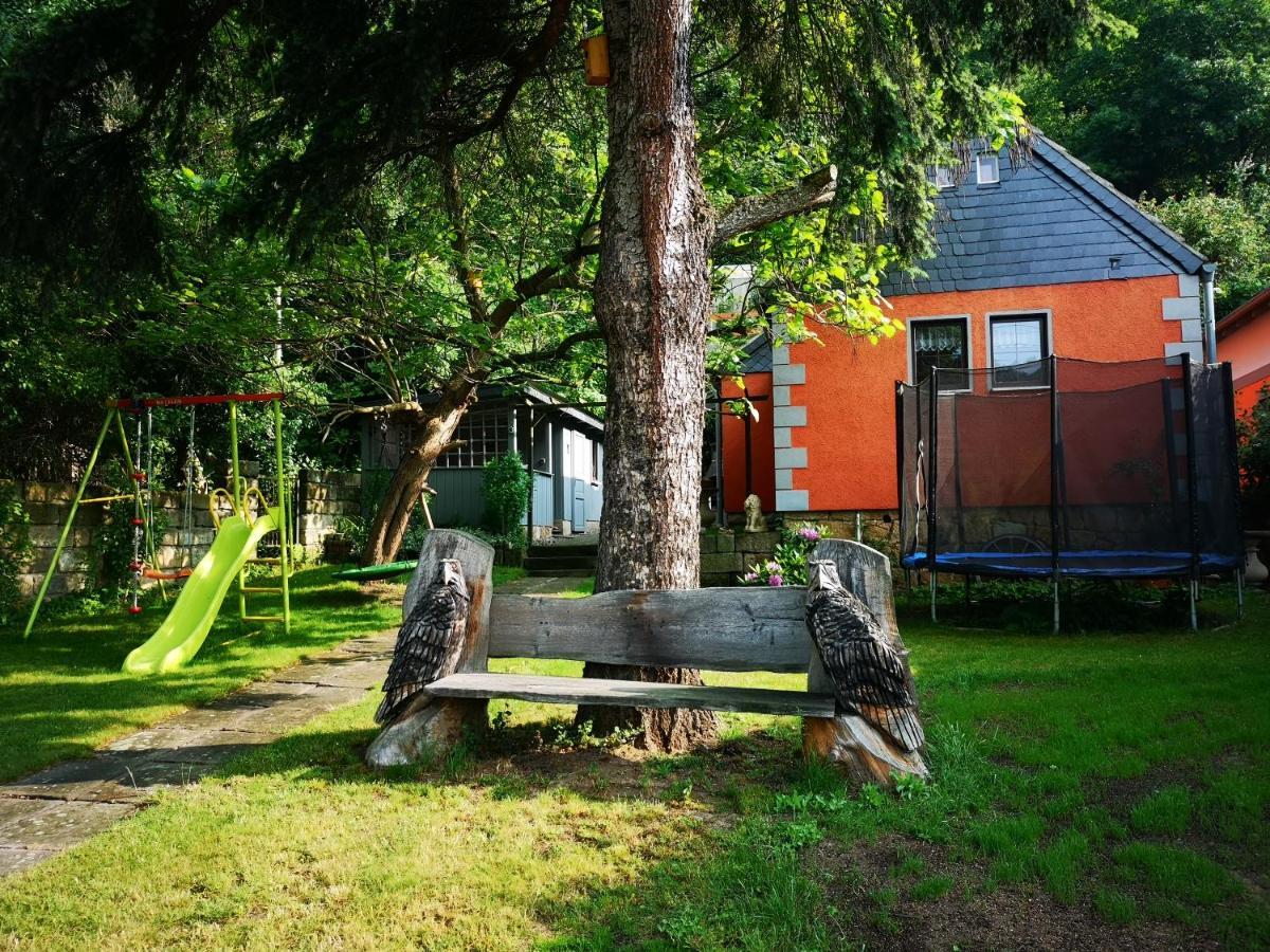 Ferienhaus Franz - An Der Elbe, Mit Grossem Garten Villa Пирна Екстериор снимка