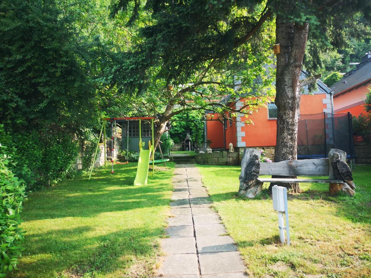 Ferienhaus Franz - An Der Elbe, Mit Grossem Garten Villa Пирна Екстериор снимка