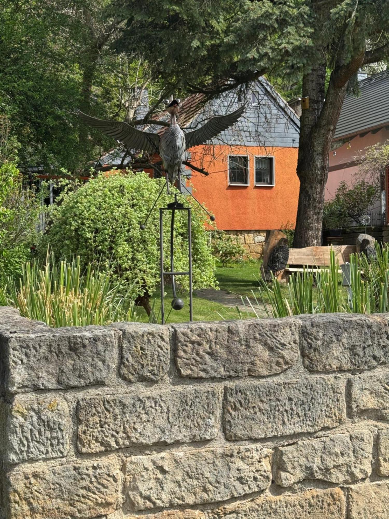 Ferienhaus Franz - An Der Elbe, Mit Grossem Garten Пирна Екстериор снимка
